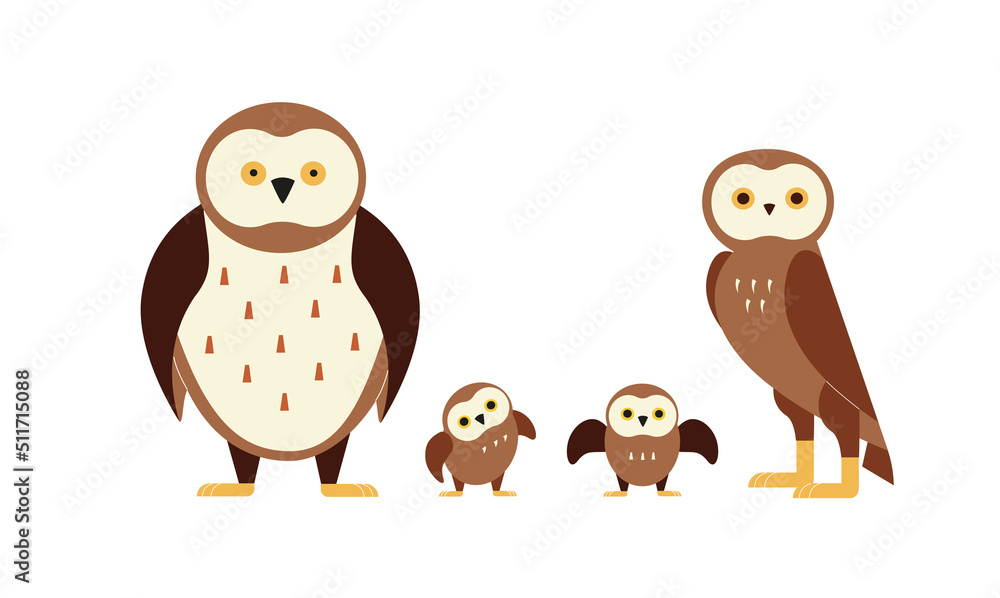 Fototapeta premium Flat cartoon vector illustration of an owl family. Happy birds together.