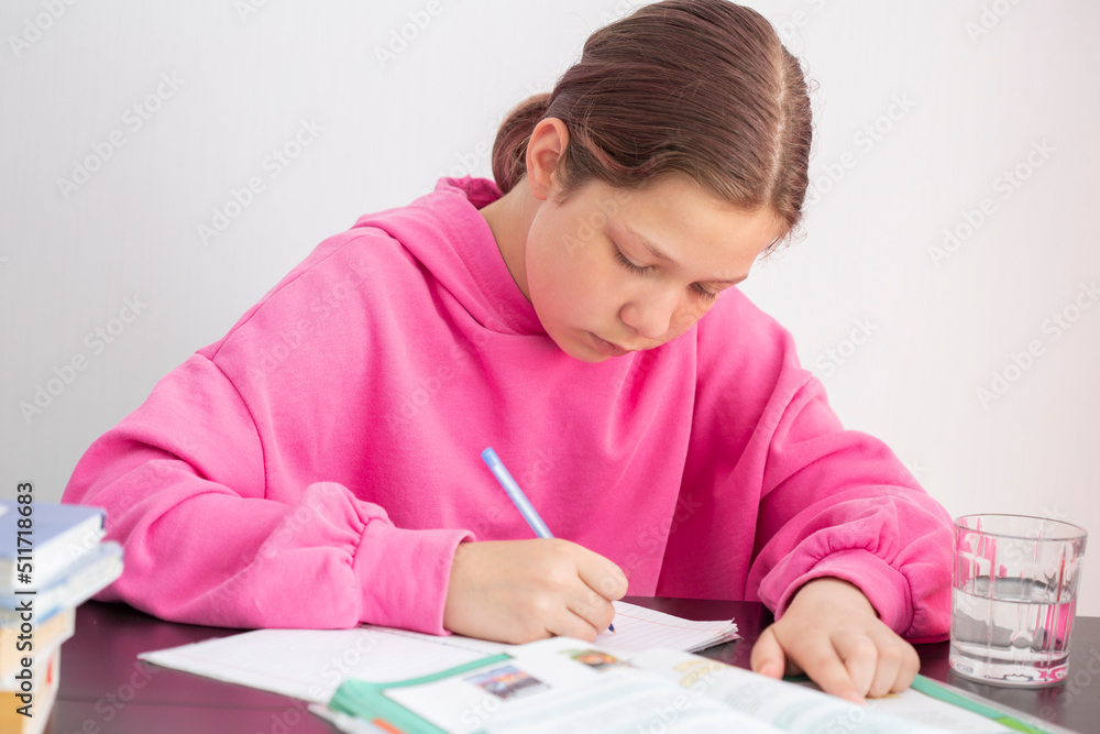 a child girl doing homework writing and reading at home a child girl doing homework writing and reading at home