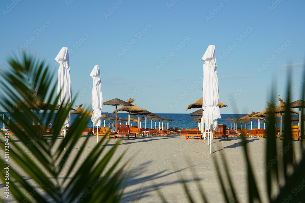 Obraz premium Palm trees. potted palm trees on a beach waiting for tourists. decorations. photo during the day.