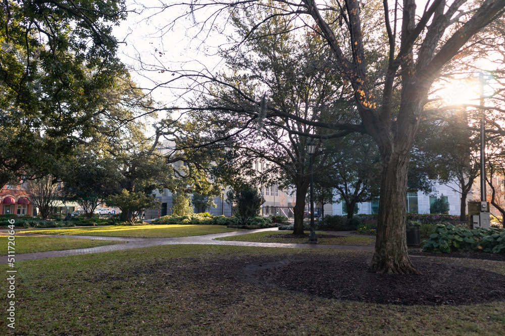 Telfair Square Park in the Morning in the Historic District of Savannah Georgia