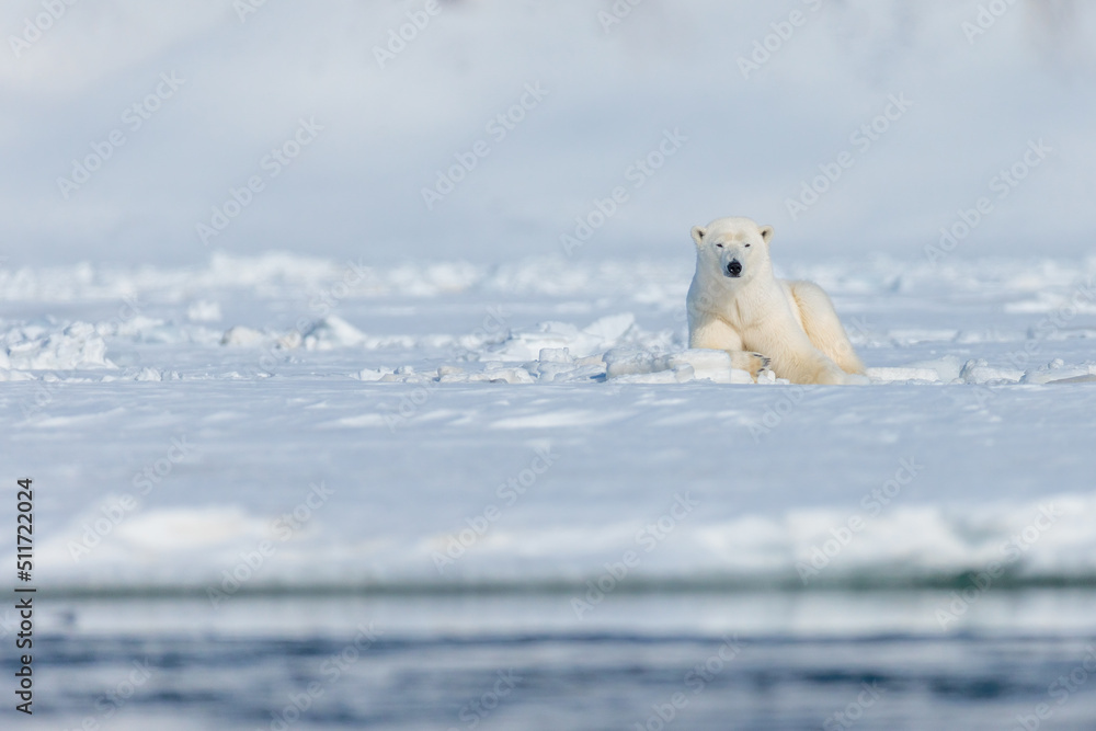Fototapeta premium Shot in Svalbard May 2022