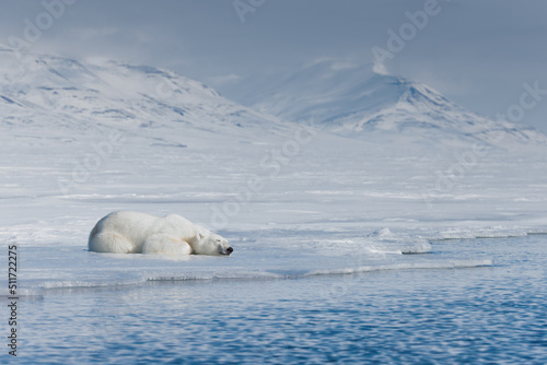 Shot in Svalbard May 2022