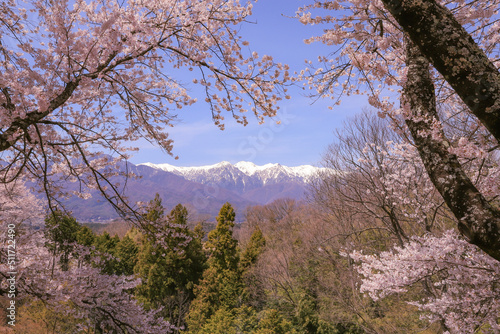 spring in the mountains