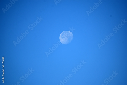 moon in the sky