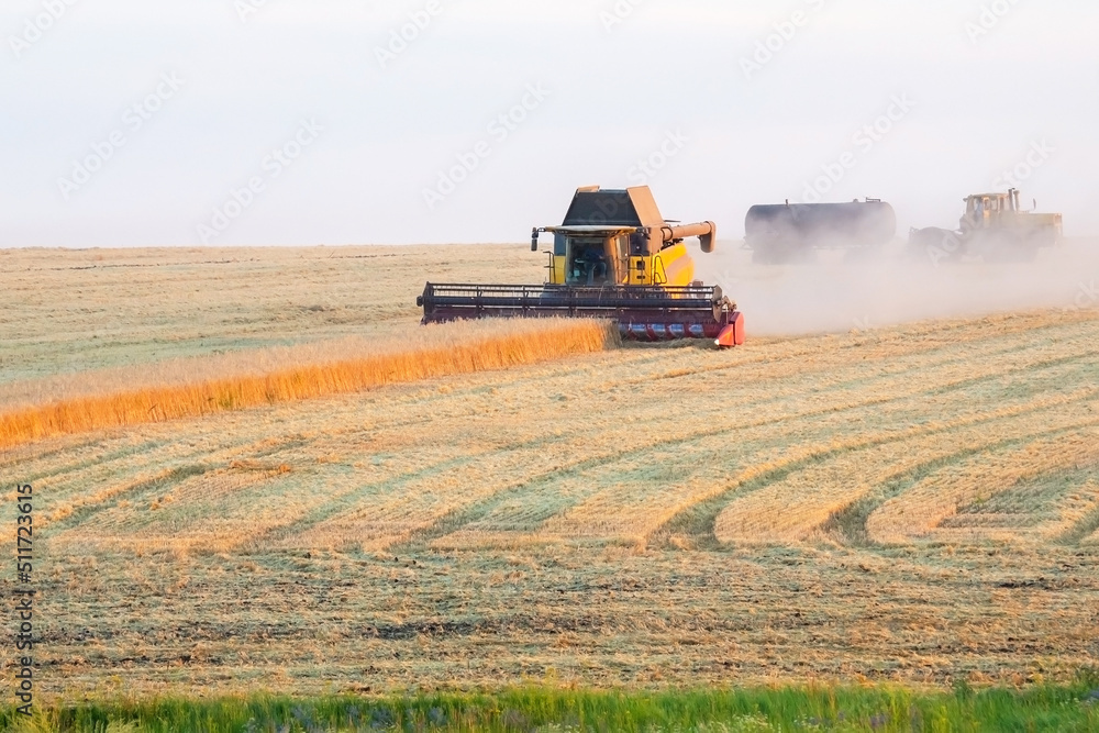 Fototapeta premium Special machine combine works and harvests wheat in the field. Food industry and agronomy