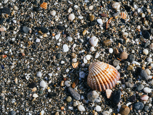 background of small stones by the beach with shell