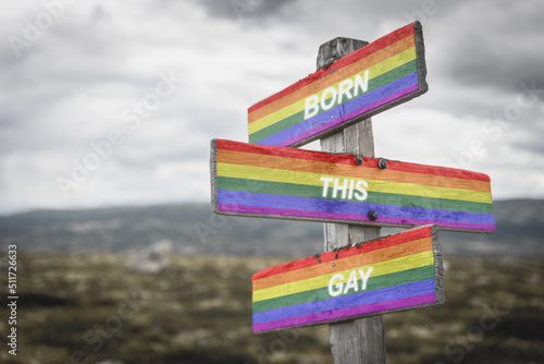 Pride flag on wooden signpost outdoors in nature with the text quote born this gay. Lgbtq and equality concept.
