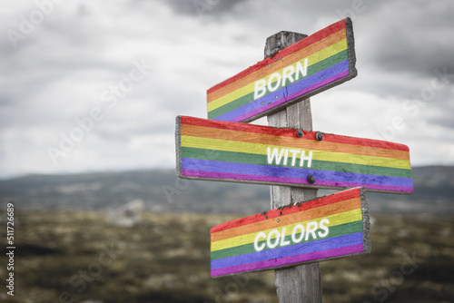 Pride flag on wooden signpost outdoors in nature with the text quote born with colors. Lgbtq and equality concept. © Jon Anders Wiken