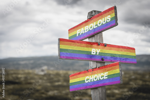 fabolous by choice text quote on wooden signpost crossroad outdoors in nature. Freedom and lgbtq community concept.