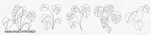 Simplicity monstera leaf freehand continuous line drawing flat design.