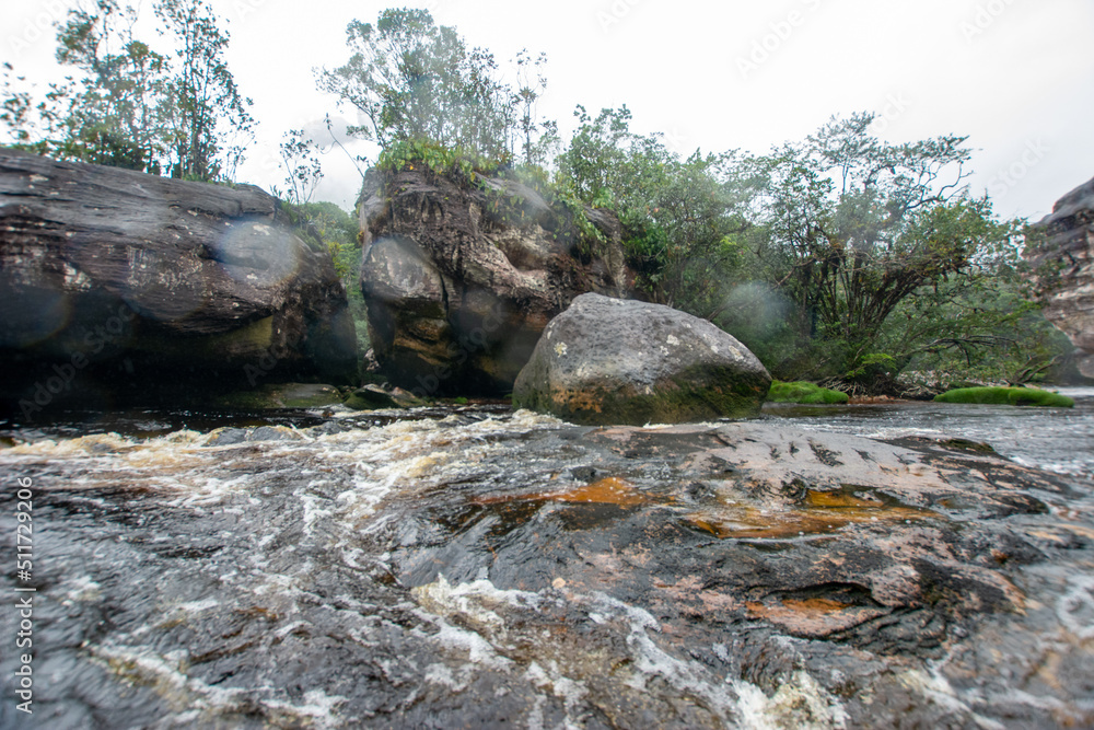 Walk through the rain forest. Navigating the river. Venezuelan jungle. Walk through the rain forest. Navigating the river. Venezuelan jungle.