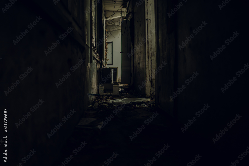 Obraz premium The corridors inside a terrifying abandoned building are like in a horror movie with leaves on the floor.The interior of an abandoned house, road to hell. An old abandoned building