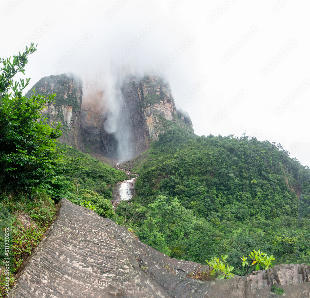 National park Canaima. Walk to the Angel Falls