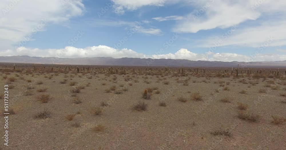 Aerial view of the arid desert and mountains, under a dramatic sky in Los Cardones National Park in Salta, Argentina. View of giant Echinopsis atacamensis cactus, growing in the sand. Aerial view of the arid desert and mountains, under a dramatic sky in Los Cardones National Park in Salta, Argentina. View of giant Echinopsis atacamensis cactus, growing in the sand.
