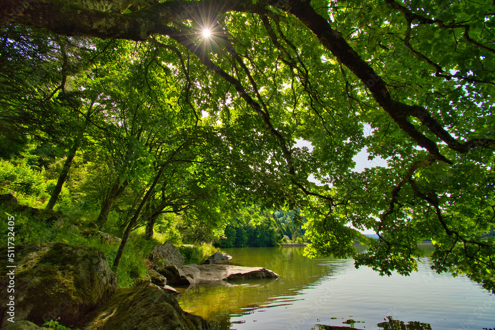 Lac de Schiessrothried in den Vogesen Lac de Schiessrothried in den Vogesen