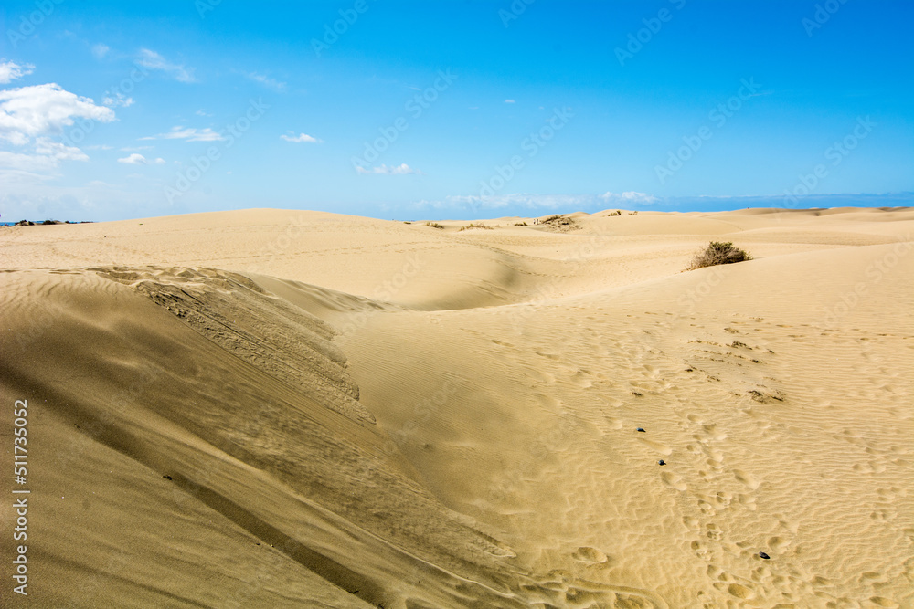 Maspalomas sand dunes with blue sky, Gran Canaria, Canary Islands