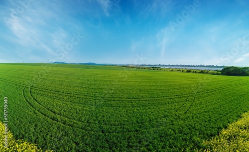 Panorama on top view of field with rapeseed and field with grass against blue sky