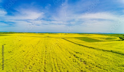 Panorama of the fields with a plant in a valley against the background of the village and the sky in Bulgaria