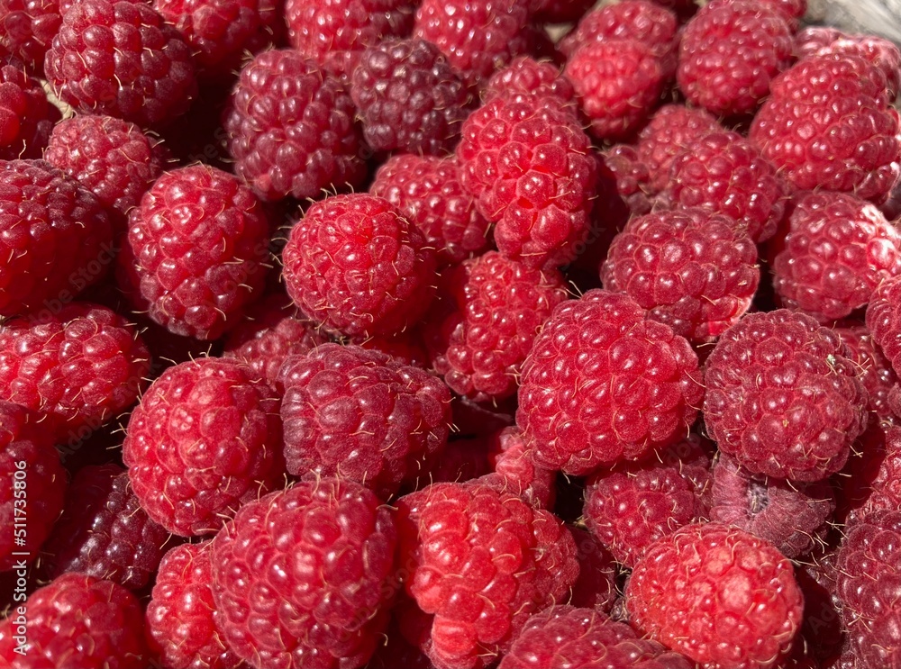 A bunch of red fresh tasty raspberries A bunch of red fresh tasty raspberries