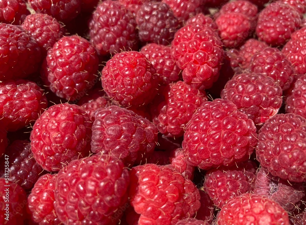 A bunch of red fresh tasty raspberries A bunch of red fresh tasty raspberries