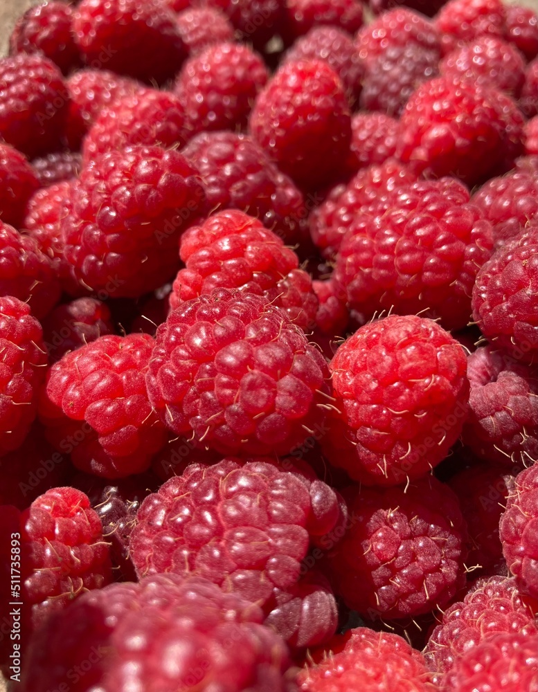 A bunch of red fresh tasty raspberries A bunch of red fresh tasty raspberries