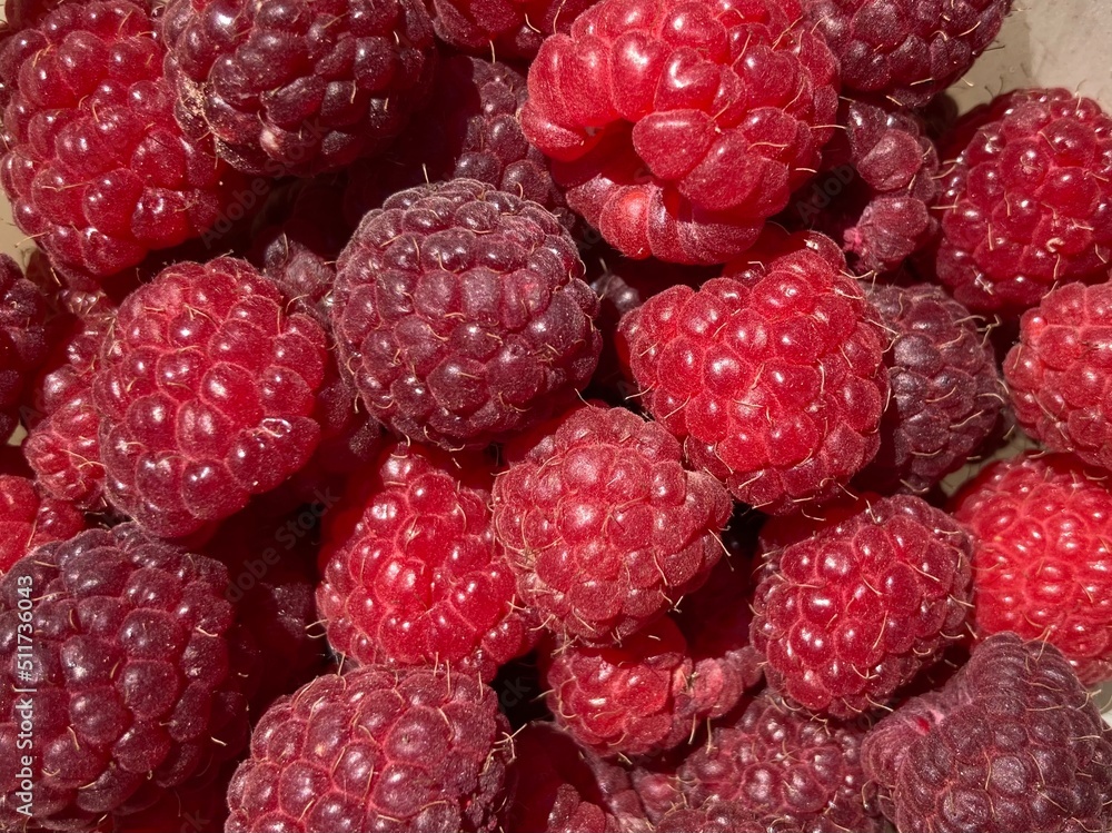 A bunch of red fresh tasty raspberries A bunch of red fresh tasty raspberries