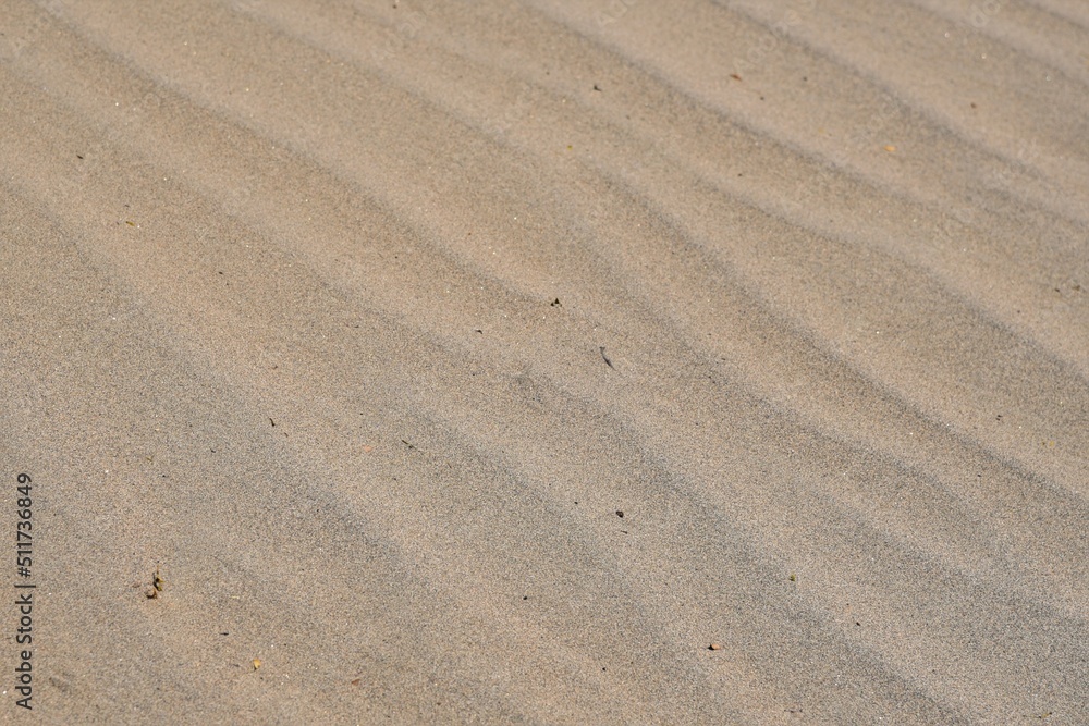 Transverse dunes caused by blowing wing creating wave patterns Transverse dunes caused by blowing wing creating wave patterns