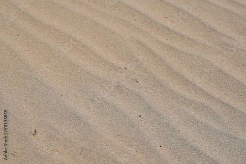 Transverse dunes caused by blowing wing creating wave patterns