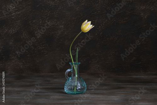 Still life. Single tulip in a glass on a wooden table. Rustic style.