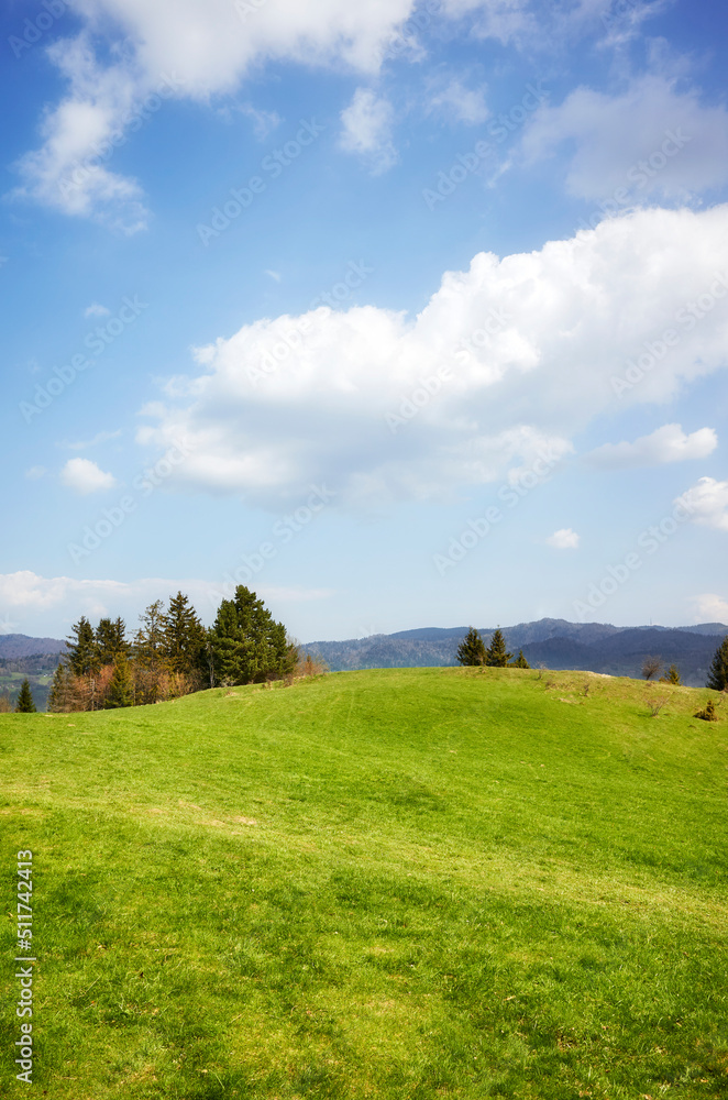 View of The Pieniny (the Pienin Mountains) on a sunny day, Poland.