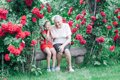 Canvastavla summer vacation with a grandmother in the village, a gray-haired woman embraces and jokes with a child on a bench near the rose bushes in the garden