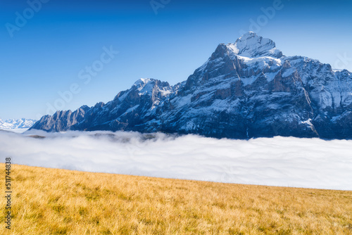 Mountains and clouds in the valley. Natural landscape high in the mountains. Mountain range through the clouds. Landscape in the summertime. Grindewald, Switzerland.