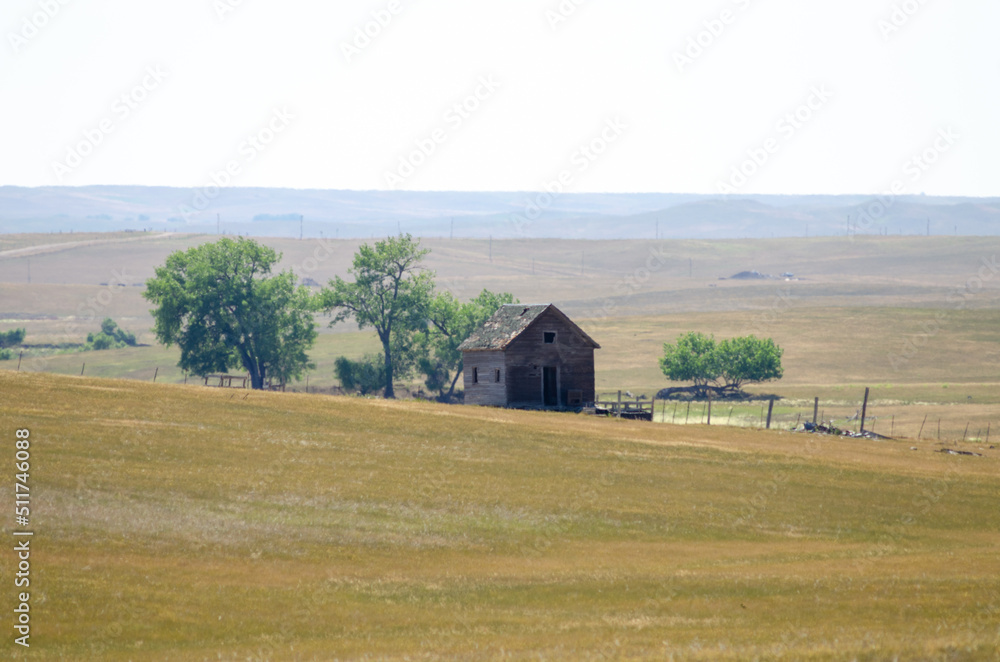 a large yellow field with trees in the background and an old weather-bitten abandoned farmhouse. a large yellow field with trees in the background and an old weather-bitten abandoned farmhouse.