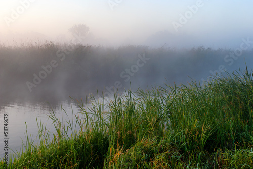 Poranek w Narwiańskim Parku Narodowym, Podlasie, Polska