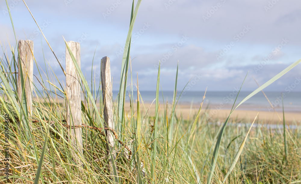 The beautiful landscape I Normandy, France