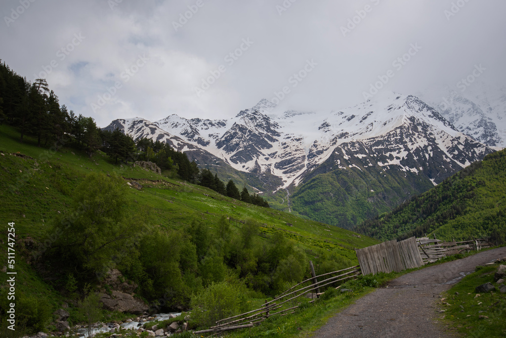 Mountain bright landscape with snow-capped mountain peaks in the distance. A steep rocky mountainside covered with green grass and fir trees.