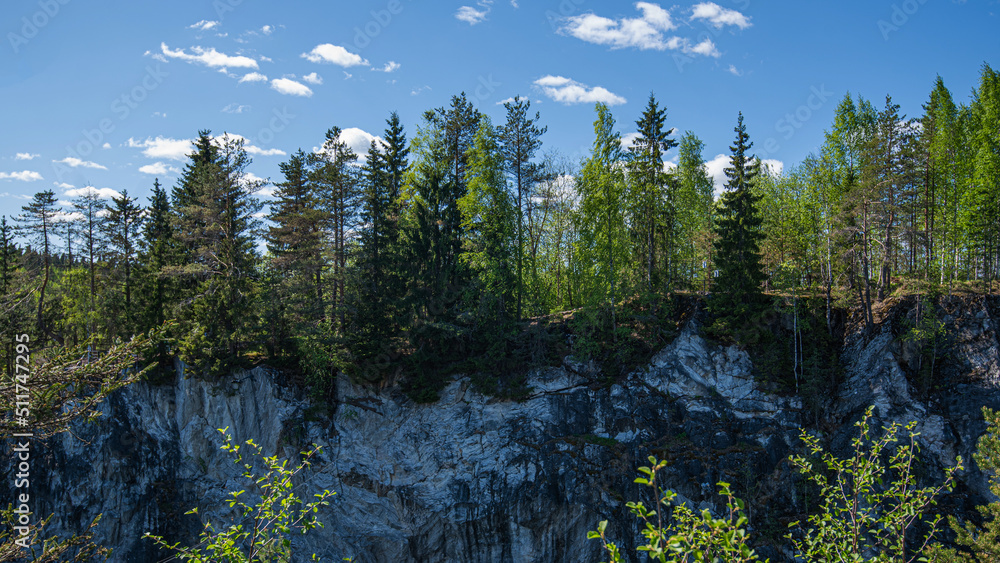 Northern nature in the wild. Pines on the shore of lake. Eco tourism, travel and discovery of beautiful places. Northern nature in the wild. Pines on the shore of lake. Eco tourism, travel and discovery of beautiful places.