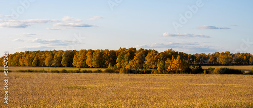 Autumn landscape of Altai nature. Amazing endless fields with autumn trees. Valley of Uymon in Altai. Discovery of new beautiful places on the planet, travel, long trips. © eskstock