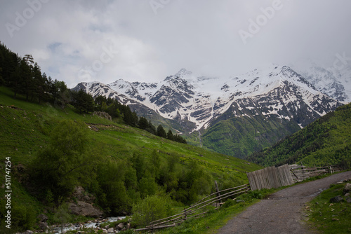 Mountain bright landscape with snow-capped mountain peaks in the distance. A steep rocky mountainside covered with green grass and fir trees.