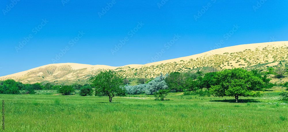 natural landscape with a huge sand dune Sarykum in the background