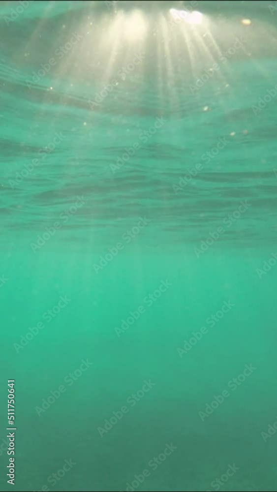 VERTICAL VIDEO: Slow motion, Sunrays penetrate through the surface of water. Underwater light creates beautiful veil, consisting of sunlight. range rays of sun at sunset under surface of water
VERTICAL VIDEO: Slow motion, Sunrays penetrate through the surface of water. Underwater light creates beautiful veil, consisting of sunlight. range rays of sun at sunset under surface of water