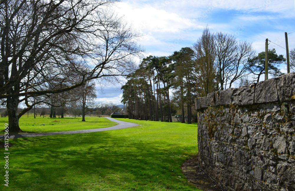Long Drive into Adare Manor in Ireland