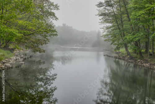 Morning fog on the river © Marc