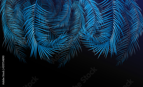 Blue palm night glow leaves © Max Oman