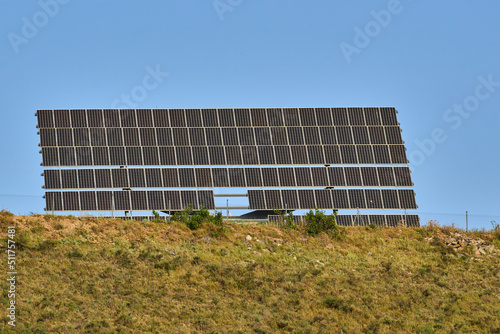 Field or orchard of solar panels to collect solar energy