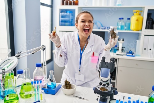 Fototapeta Naklejka Na Ścianę i Meble -  Young hispanic woman doing weed oil extraction at laboratory angry and mad screaming frustrated and furious, shouting with anger. rage and aggressive concept.