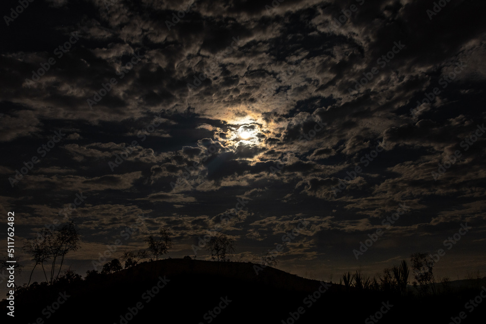 Obraz premium sunset in the forest