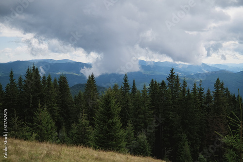 Fototapeta Naklejka Na Ścianę i Meble -  Spring landscape in the Carpathian mountains