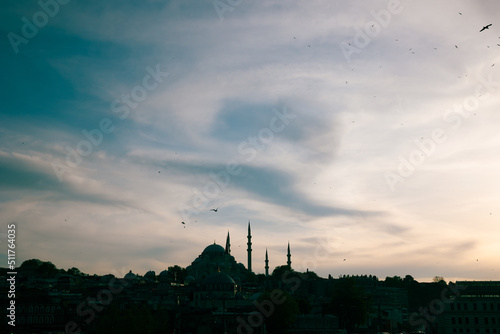 Silhouette of Istanbul with suleymaniye Mosque and cityscape of Eminonu district