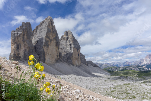 Mountains and flowers in the Dolomites landscape